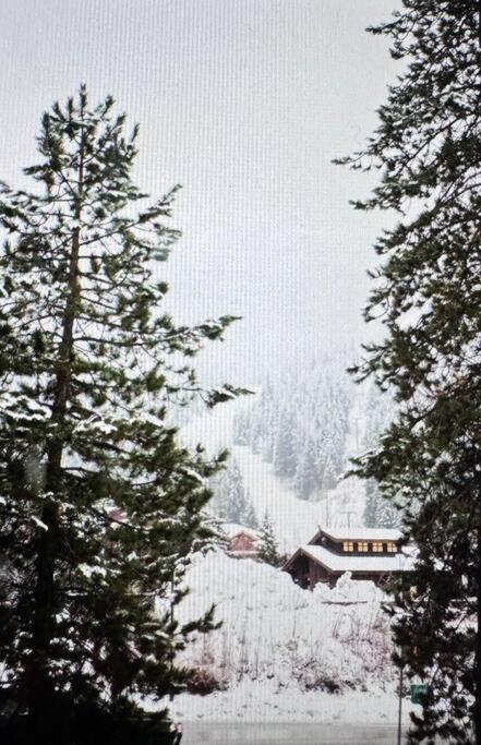 Powder & Pines Luxury Suite Whistler Eksteriør billede